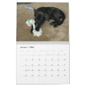 Schwarzer Labradorlabrador-Retrieverkalender Kalender (Jan 2026)