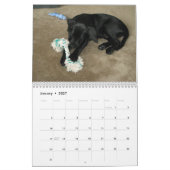 Schwarzer Labradorlabrador-Retrieverkalender Kalender (Jan 2027)