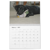 Schwarzer Labradorlabrador-Retrieverkalender Kalender (Feb 2027)