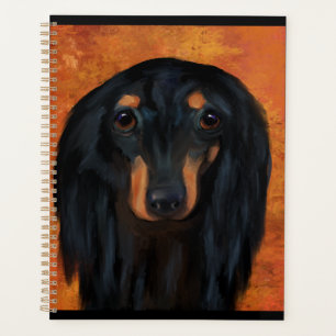 Schwarzer Langhaar-Dachshund Planer