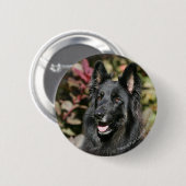 Schwarzer langhaariger Schäferhund Button (Vorne & Hinten)