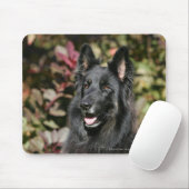 Schwarzer langhaariger Schäferhund Mousepad (Mit Mouse)