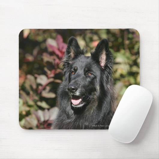 Schwarzer langhaariger Schäferhund Mousepad (Mit Mouse)