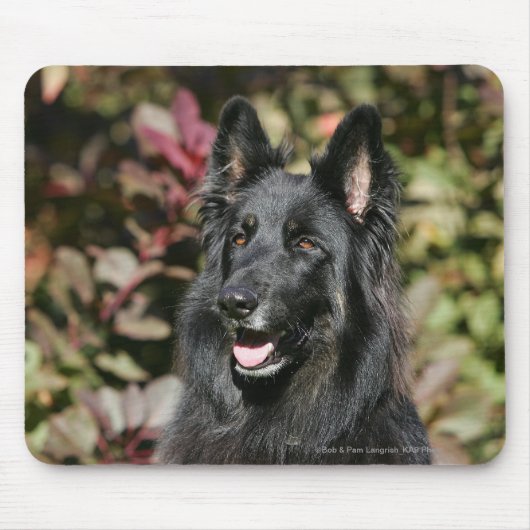 Schwarzer langhaariger Schäferhund Mousepad (Vorne)