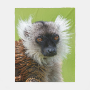 Schwarzer Lemur von Weibchen im Detail Fleecedecke