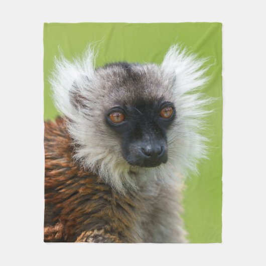 Schwarzer Lemur von Weibchen im Detail Fleecedecke (Vorderseite)