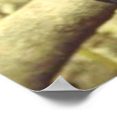 Schwarzer Leopard in der Wildnis Poster (Ecke)