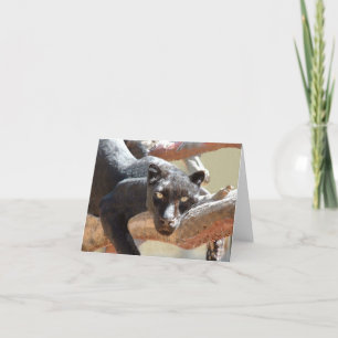 Schwarzer Leopard Karte