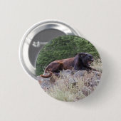 Schwarzer Leopard-Knopf Button (Vorne & Hinten)