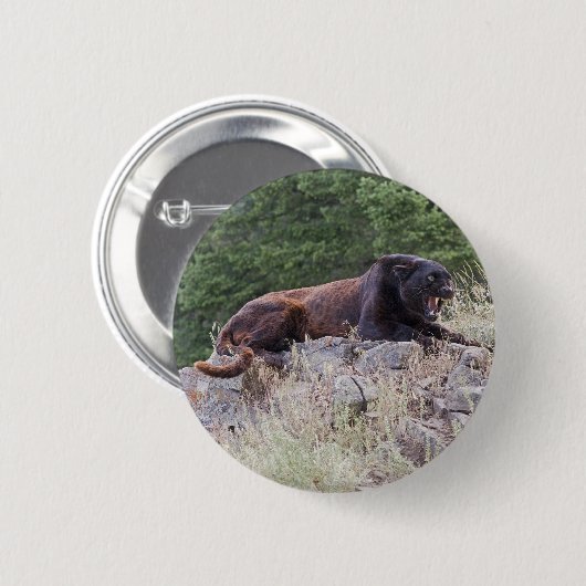 Schwarzer Leopard-Knopf Button (Vorne & Hinten)