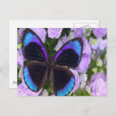 Schwarzer, Lila und blauer Schmetterling Postkarte (Vorne/Hinten)