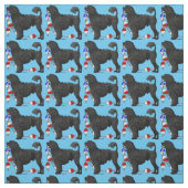 Schwarzer Löwe-portugiesischer Wasser-Hund mit Stoff (Muster)