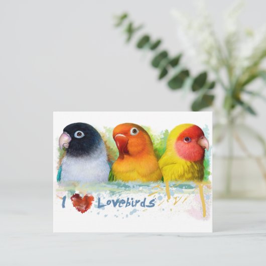 Schwarzer Maler Fisch Lutino pfirsichfarben Postkarte (Stehend Vorderseite)