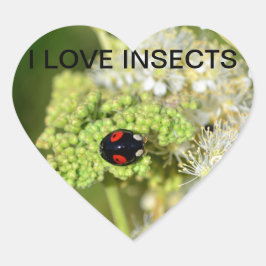 Schwarzer Marienkäfer Herz-Aufkleber
