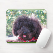 Schwarzer Miniaturpudel - JoJo Mousepad (Mit Mouse)
