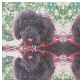 Schwarzer Miniaturpudel Stoff (Nahaufnahme)