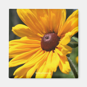 Schwarzer mit Augen Susan-Blumen-Fotografie-Magnet Magnet