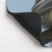 Schwarzer mit einer Kappe bedeckter Chickadee B21 Mousepad (Ecke)
