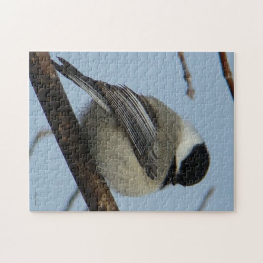 Schwarzer mit einer Kappe bedeckter Chickadee B21 Puzzle (Horizontal)