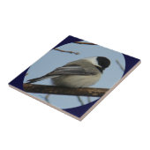 Schwarzer mit einer Kappe bedeckter Chickadee B43 Fliese (Seite)