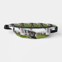 Schwarzer Mops
