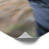 Schwarzer Mops beim Betrachten der Kamera Poster (Ecke)