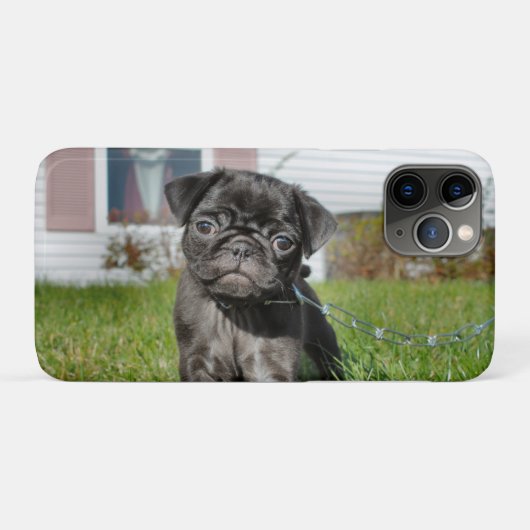 Schwarzer Mops Case-Mate iPhone Hülle (Rückseite (Horizontal))