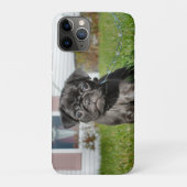 Schwarzer Mops Case-Mate iPhone Hülle (Rückseite)