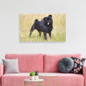 Schwarzer Mops, der aus der Spielhalle heraushält Leinwanddruck (Insitu (Wohnzimmer))