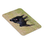 Schwarzer Mops, der aus der Spielhalle heraushält Magnet (Rechte Seite)