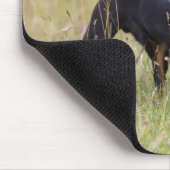 Schwarzer Mops, der heraus Tounge haftet Mousepad (Ecke)