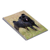 Schwarzer Mops, der heraus Tounge haftet Notizblock (Rechte Seite)