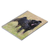 Schwarzer Mops, der heraus Tounge haftet Notizblock (Linke Seite)