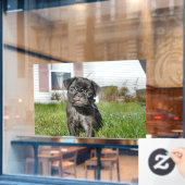 Schwarzer Mops Fensteraufkleber (Café-Fenster)