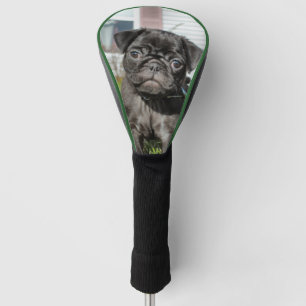 Schwarzer Mops Golf Headcover