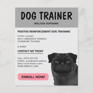 Schwarzer Mops-Hundetrainer Hunde-Pet-Service Grau Flyer