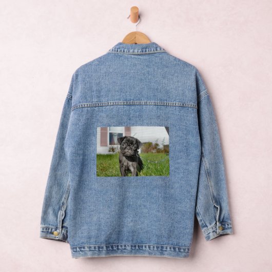 Schwarzer Mops Jeansjacke (Hangar)