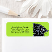 Schwarzer Mops Limon (Insitu)