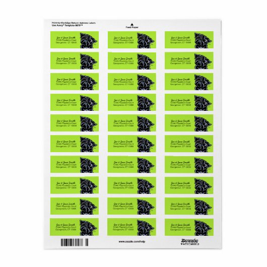 Schwarzer Mops Limon (Vorne)