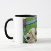 Schwarzer Mops muggy Tasse (Links)