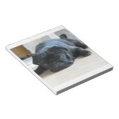 Schwarzer Mops Notizblock (angewinkelt)