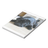 Schwarzer Mops Notizblock (Rotiert)