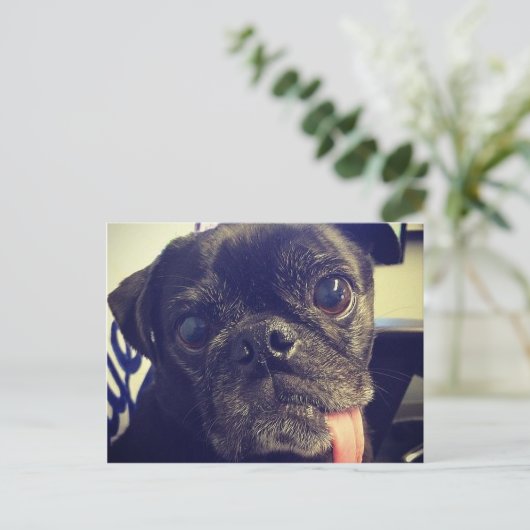 Schwarzer Mops Postkarte (Stehend Vorderseite)