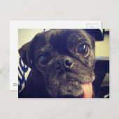 Schwarzer Mops Postkarte (Vorne/Hinten)
