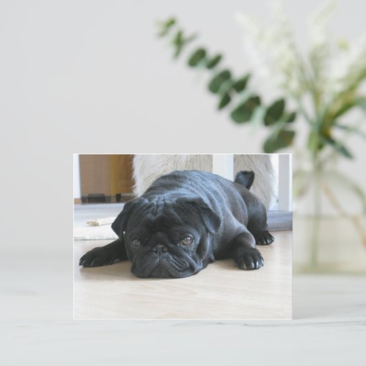 Schwarzer Mops Postkarte (Stehend Vorderseite)