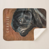 Schwarzer Mops Sherpadecke (Vorderseite (Horizontal))