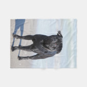 Schwarzer Mops stehend auf dem Strand Fleecedecke (Vorderseite (Horizontal))