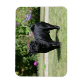 Schwarzer Mops Stehend Kamera Magnet (Vertikal)