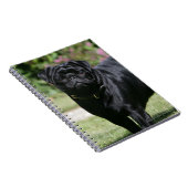 Schwarzer Mops-stehende schauende Kamera Notizblock (Rechte Seite)