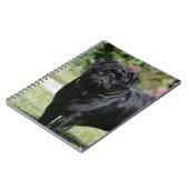 Schwarzer Mops-stehende schauende Kamera Notizblock (Linke Seite)